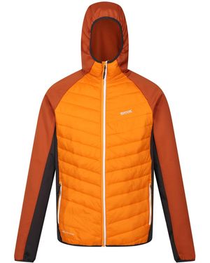 Regatta Andreson Viii Hybrid Jacket Pepper/Burnt Copper) - Orange