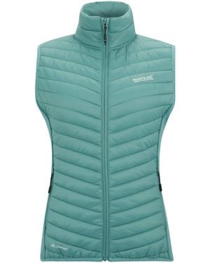 Regatta Ladies Andreson Hybrid Gilet (Ivy Moss) - Green
