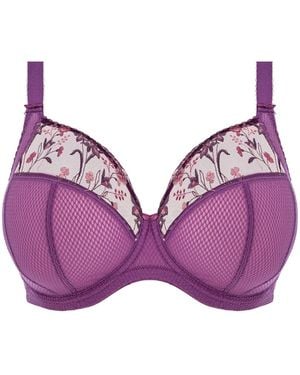 Elomi Gb +Size Niet-Voorgevormde Beugelbh Charley Paars - Purple