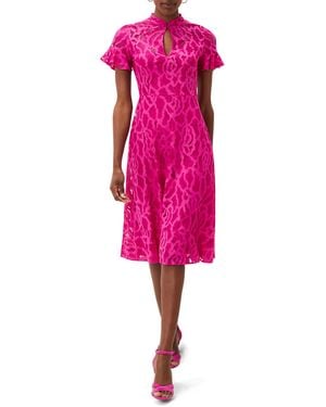 Phase Eight Lulu Lace Midi Dress - Pink