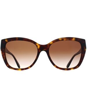 Emporio Armani Cat Eye Shiny Havana Gradient Ea4198 - Brown