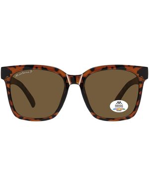 Montana Square Havana Polarized Mp72 - Brown