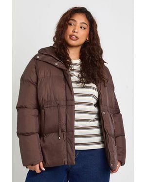 Boohoo Plus Hooded Puffer Coat - Brown