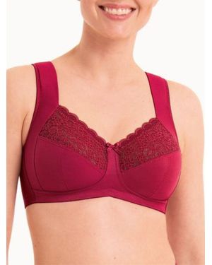 Anita Havanna Support Bra - Red