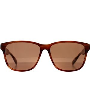 Ted Baker Rectangle Horn Tb8232 - Brown