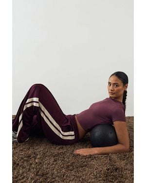 DSGN Studio Tricot Straight Leg Jogger - Brown