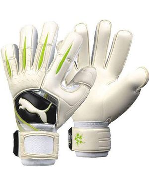PUMA Power Cat 1.10 Protect Goalkeeper Gloves - Metallic