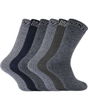 Sock Snob 6 Pairs Hike Summer Breathable Cotton Hiking Socks - Blue