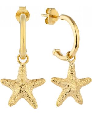 Radiant Ry000137 Ladies Earrings - Metallic