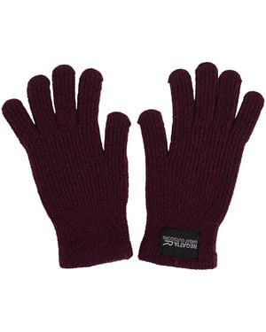 Regatta Adult Connora Gloves (Fig) - Purple