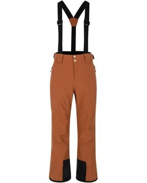 Dare 2b Achieve Ii Ski Trousers (Mocha Bisque) - Brown