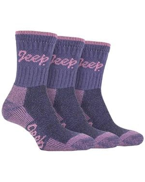 Jeep Terrain - Purple