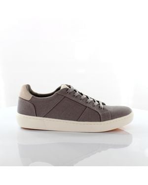 TOMS Leandro Heritage Canvas Lace Up Trainers 10013259 - Brown