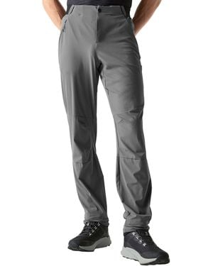 Dare 2b Torrek Lite Walking Trousers (Magnet) - Grey