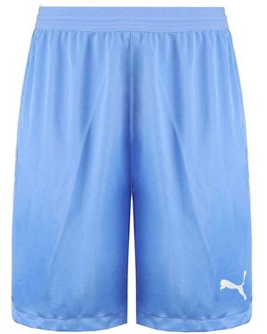 PUMA Drycell Teamfinal 21 Stretch Waist Light Shorts 704257 18 - Blue