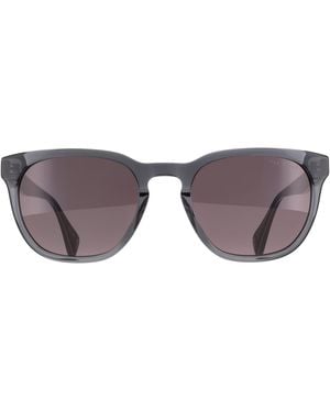 Ted Baker Square Gloss Dark Crystal Tb1782 Sorley - Brown