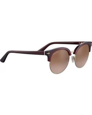 Serengeti Ss560004 53 Susan Sunglasses - Brown