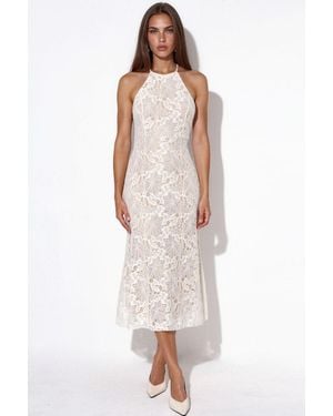 Hiccup Halter Neck Lace Midi Dress - White