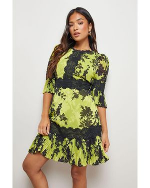 Oasis Petite Printed Lace Trim Pleated Mini Dress - Green