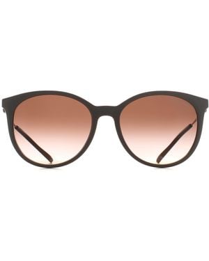 ARMANI EXCHANGE Cat Eye Shiny Tundra Gradient Ax4140S - Brown