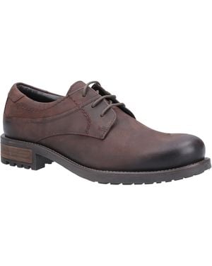 Cotswold Brookthorpe Plain Toe Derby - Black
