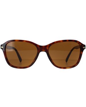 Persol Square Havana Po3244S - Brown
