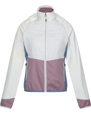Regatta Ladies Steren Ii Hybrid Jacket /Heather) - Purple
