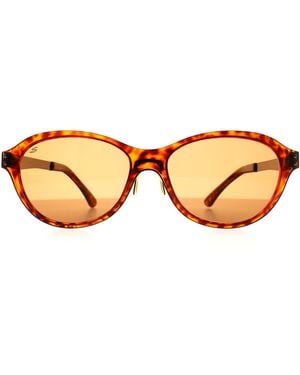Serengeti Oval Shiny Dark Tortoise Polarized Photochromic Phd Drivers Giustina - Brown