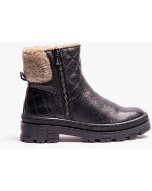 Lotus Lavigne Ankle Boots - Black