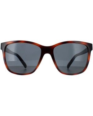 Smarty Square Schildpad Bruin Blauw Grijs Sb2315