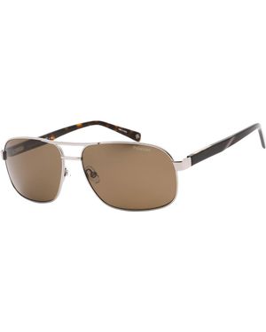 Banana Republic Bronze Pz Lens Ruthenium Silversunglasses - Brown
