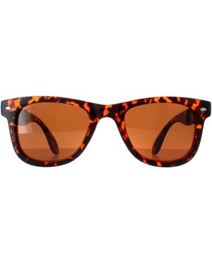 Montana Square Turtle Polarized Fs40 - Brown