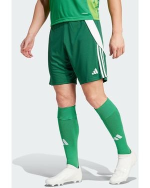 adidas Originals Tiro 24 Shorts - Green
