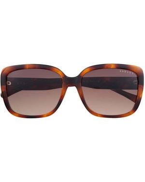Radley Square Tortoise Gradient Rds-6517 - Brown