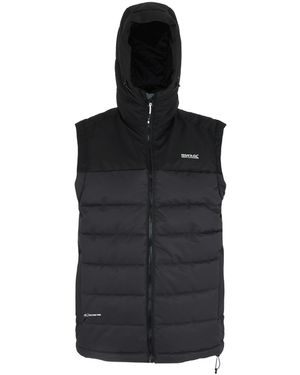 Regatta Aldthorn Body Warmer (Ash/ - Black