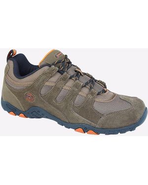 Hi-Tec Quadra - Brown