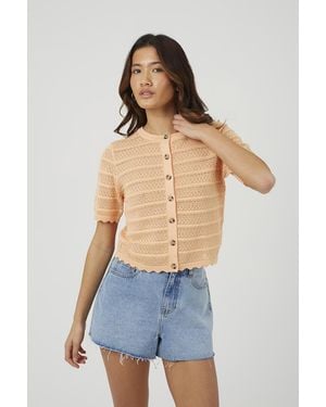Brave Soul Short Sleeve Stitch Detail Crew Neck Cardigan - Blue