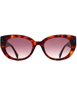 Ted Baker Oval Tortoise Gradient Tb1737 - Red