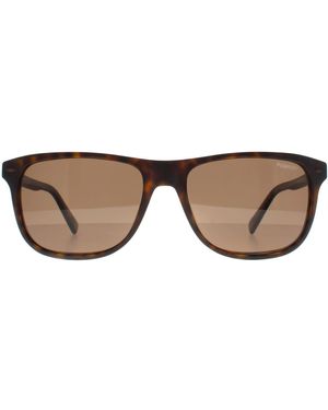 Banana Republic Rectangle Matte Havana Polarized Br 1004/S - Brown