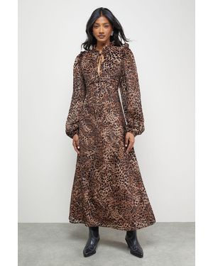 Oasis Burnout Velvet Frill Shoulder Tie Front Midi Dress - Brown