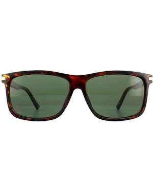 Polaroid Rectangle Dark Havana Polarized Sunglasses - Green