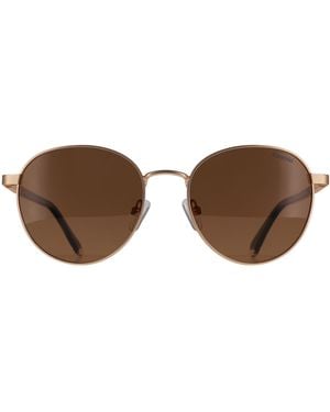 Polaroid Round Matte Polarized Pld 4197/Sx Metal - Brown