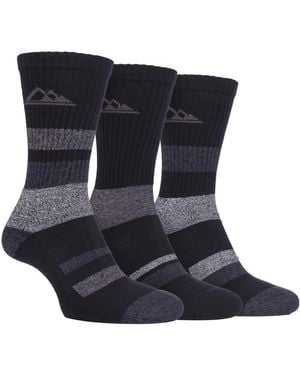 Storm Bloc 3 Pairs Ladies Anti Blister Cotton Hiking Socks With Padded Sole - Blue