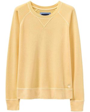 Crew Pastel Cotton Sweatshirt - Yellow
