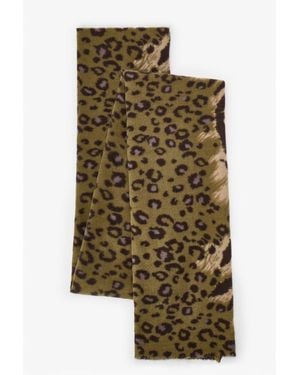 Penti Barbara Zebra Pattern Scarf - Green