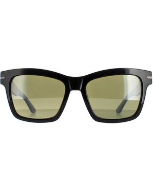Serengeti Square Shiny Mineral Polarized 555Nm Winona - Brown