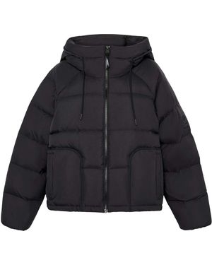 Timberland Recycled Donzen Gewatteerde Jas - Blauw