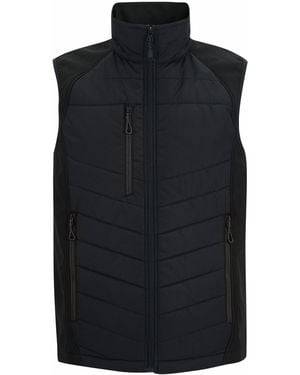 Regatta Full Zip Gilet /Ash) - Black