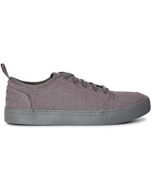 TOMS Sneak - Purple