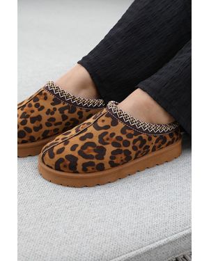Where's That From Wheres 'Oak' Aztec Detail Faux Fur Lining Mini Boots - Brown